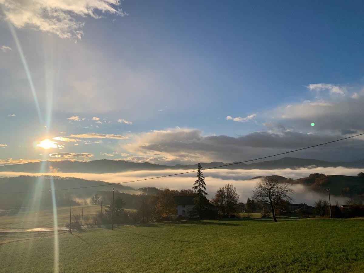 Farm stay Il Filare *