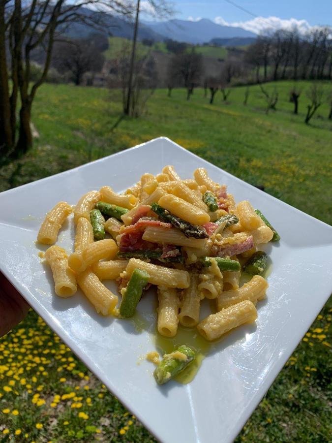 Il Filare Farm stay